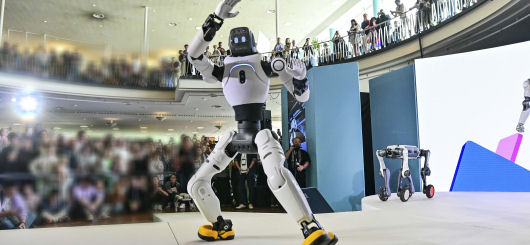 Daß asiatische Roboter auch Kampfkunst beherrschen, überrascht nicht.